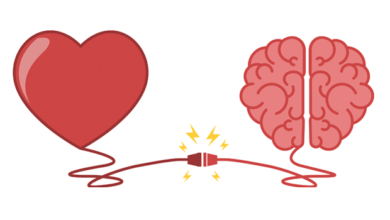 EQ1