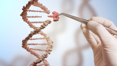 dna