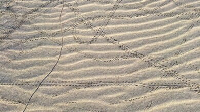 sand