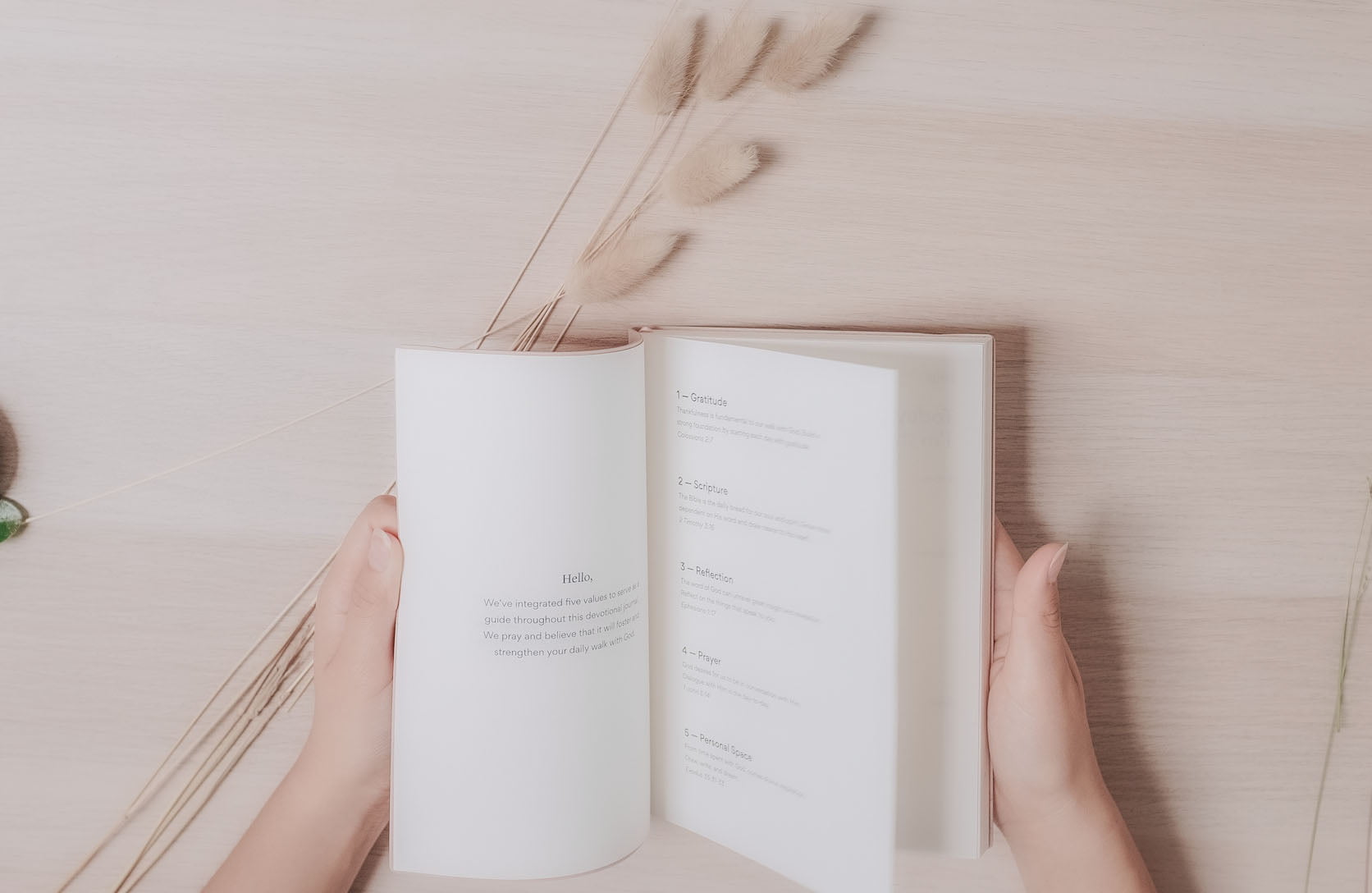 النص على محتويات الكتاب في مقدمات المؤلفين