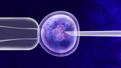 Genetic Enhancement