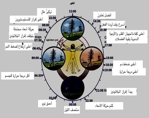 صورة3