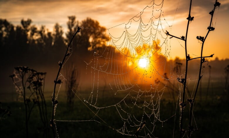 vyacheslav shatskiy F57PALp58Ws unsplash