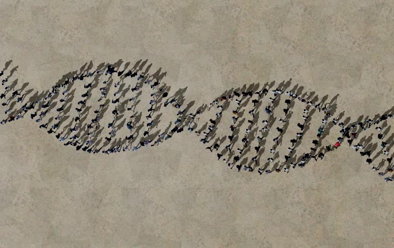 هل نفى التطور حجة التصميم البيولوجية؟