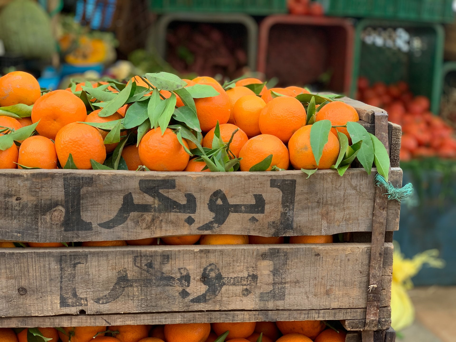 إحياء سنة الأوقاف: التصورات الأخلاقية والأسباب البنيوية للفقر