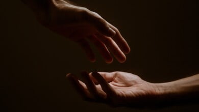 jackson david 8qudl9pDZJ0 unsplash